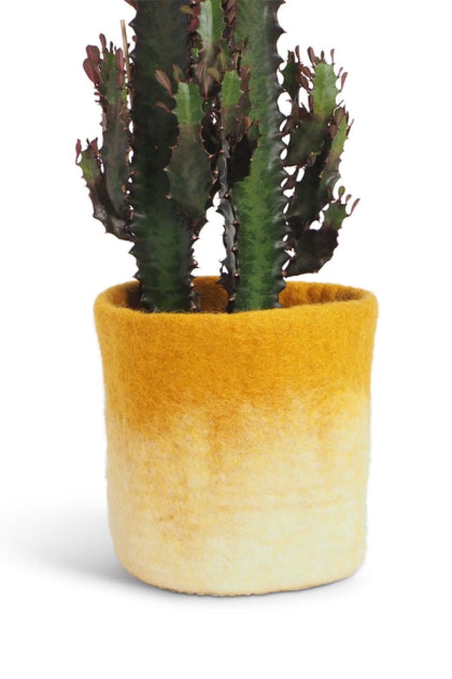 Home Accent Pieces | Home Decor Aveva Aveva Felt Flower Pot/Basket 18 Small Mustard