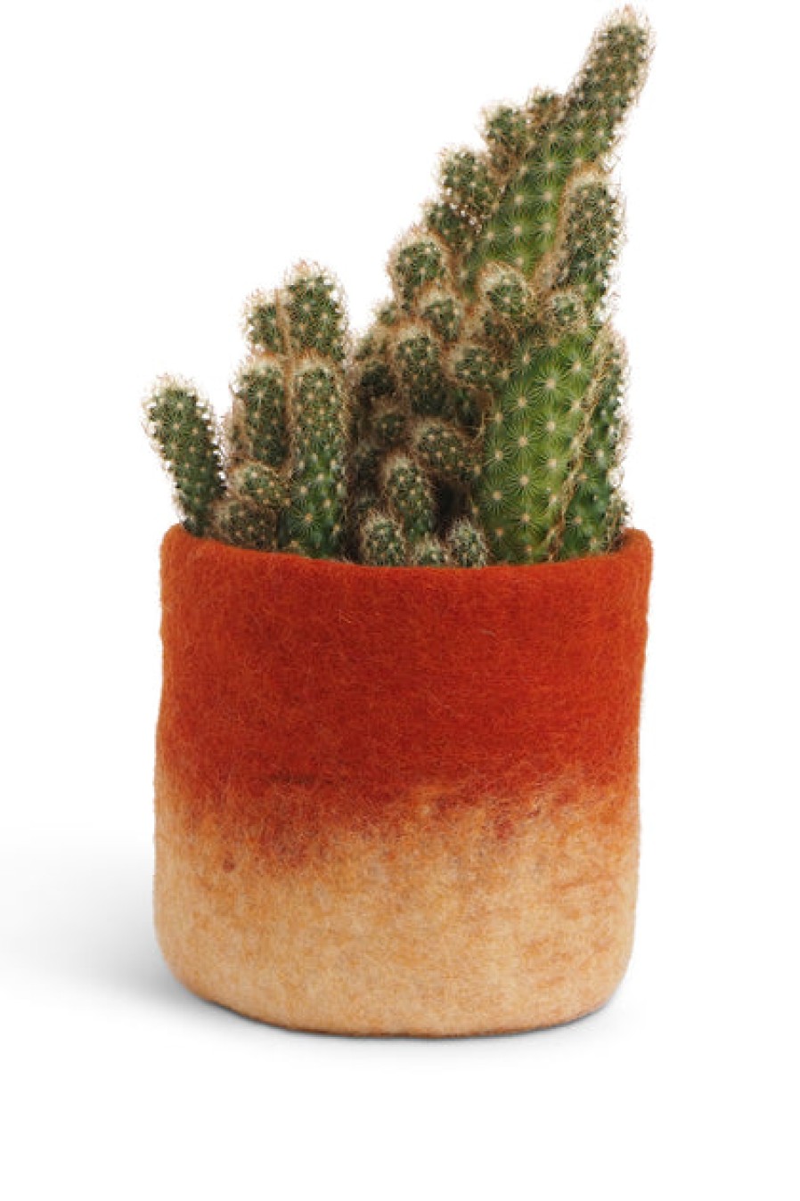 Home Accent Pieces | Home Decor Aveva Aveva Felt Flower Pot/Basket 18 Small Rust