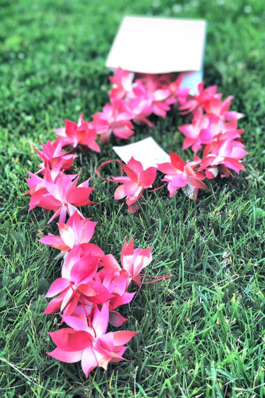 Home Accent Pieces | Home Decor Nest Factory Nest Factory Red Flower Recycled Paper Garland